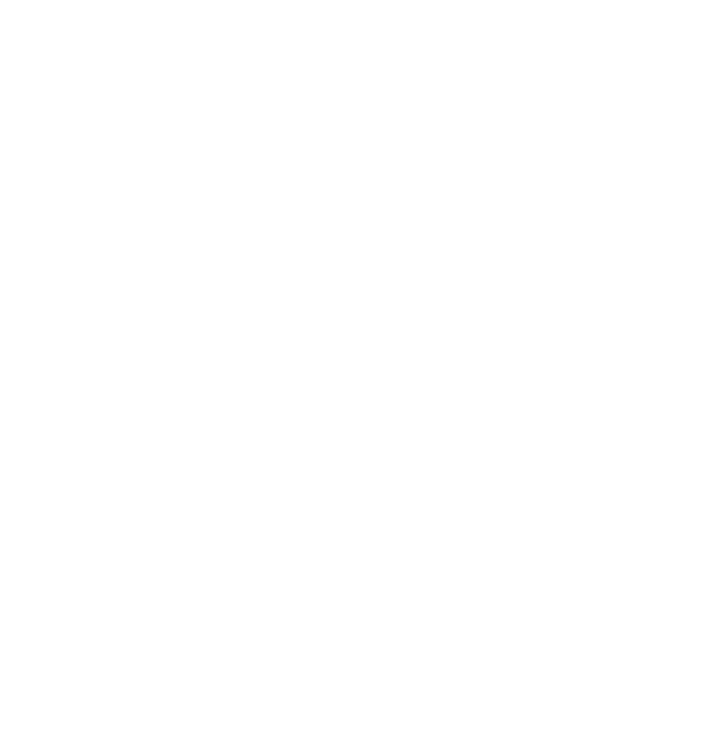 MEDINOR